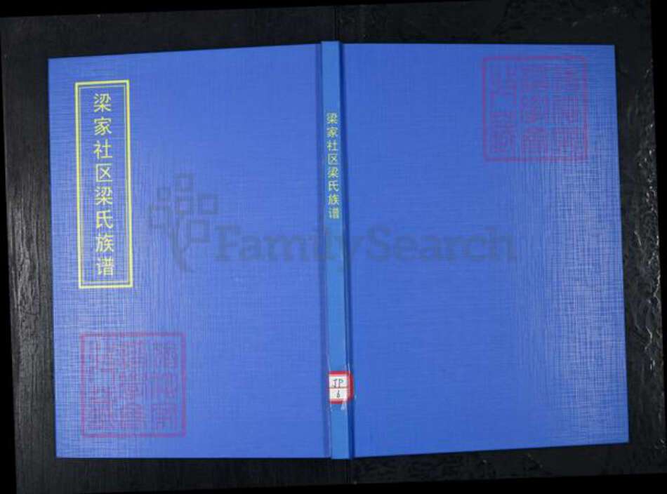 山东省青岛市崂山区梁氏族谱-梁家社区梁氏族谱.pdf电子版缩略图