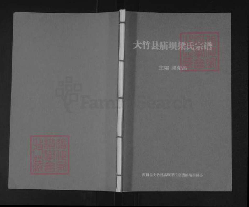 四川省达川大竹庙坝梁氏族谱-大竹县庙坝梁氏宗谱.pdf电子版缩略图