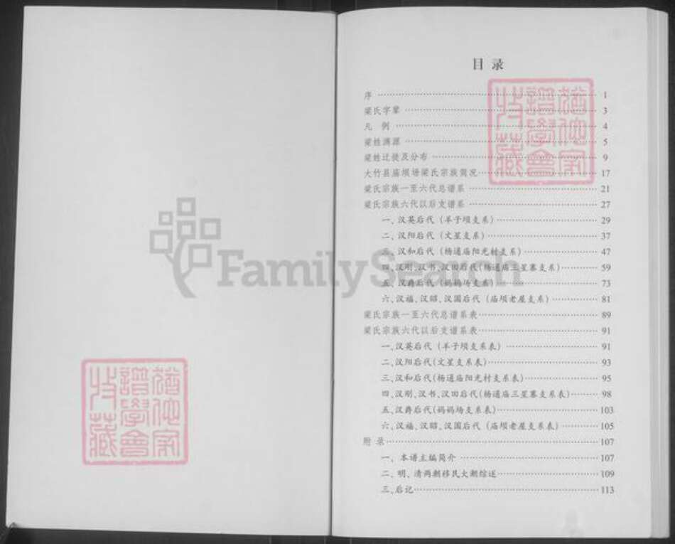 四川省达川大竹庙坝梁氏族谱-大竹县庙坝梁氏宗谱.pdf电子版预览图2