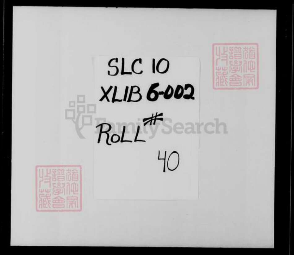 香港广东省廖氏族谱-廖氏族谱.pdf电子版缩略图