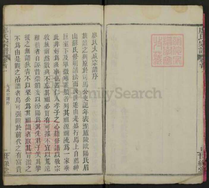 湖北省黄冈市罗田县平湖乡廖氏世彩堂族谱-廖氏宗谱.pdf电子版预览图5