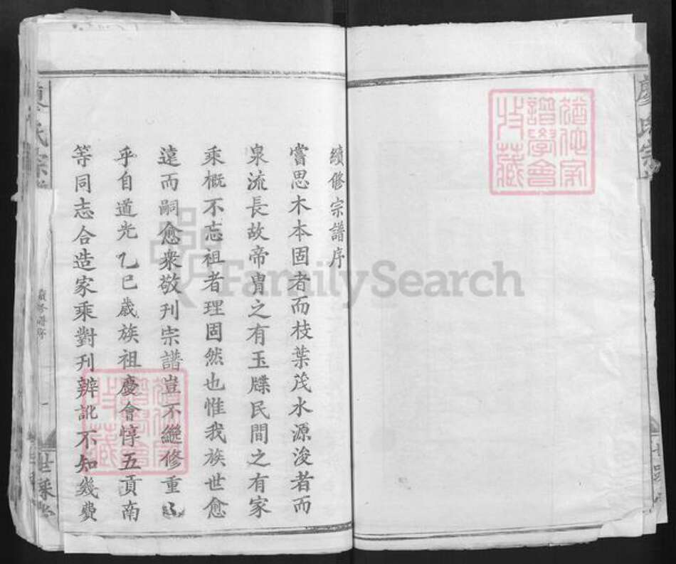 湖北省黄石市大冶市廖氏世踩堂族谱-廖氏宗谱.pdf电子版预览图4