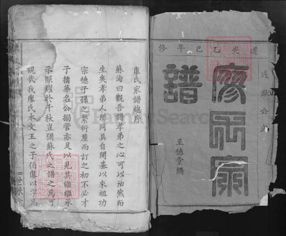 湖北省黄石市大冶市廖氏世踩堂族谱-廖氏宗谱.pdf电子版预览图1