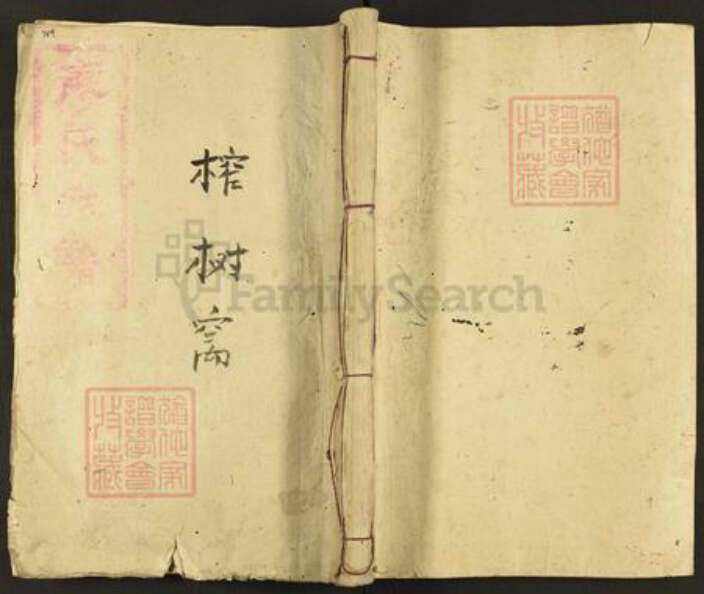 江西省九江市修水县义宁镇廖氏武威堂族谱-廖氏宗谱.pdf电子版缩略图