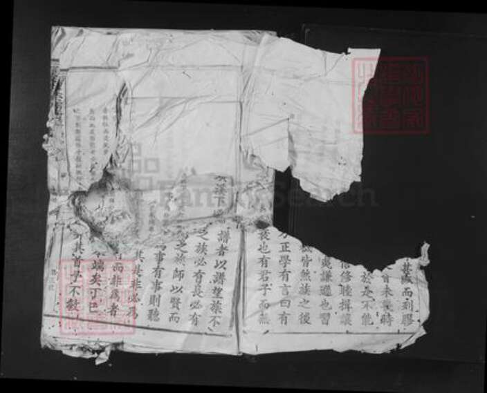 江西省赣州市宁都县黄陂镇廖氏序伦堂族谱-宁都璜溪下坝太原廖氏十一修族谱.pdf电子版预览图3