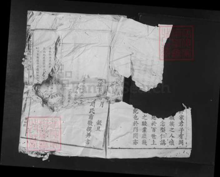 江西省赣州市宁都县黄陂镇廖氏序伦堂族谱-宁都璜溪下坝太原廖氏十一修族谱.pdf电子版预览图4