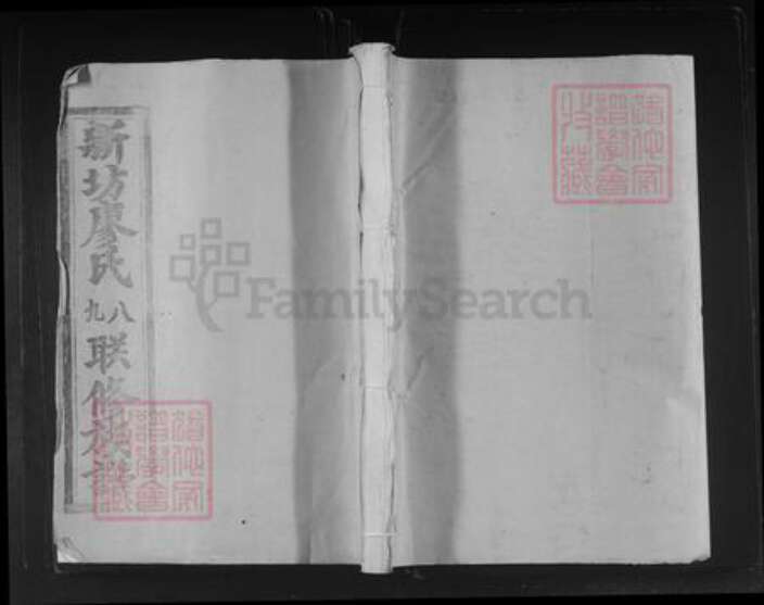 江西省赣州市石城县屏山镇廖氏族谱-石城新坊村廖氏八九联修族谱.pdf电子版缩略图