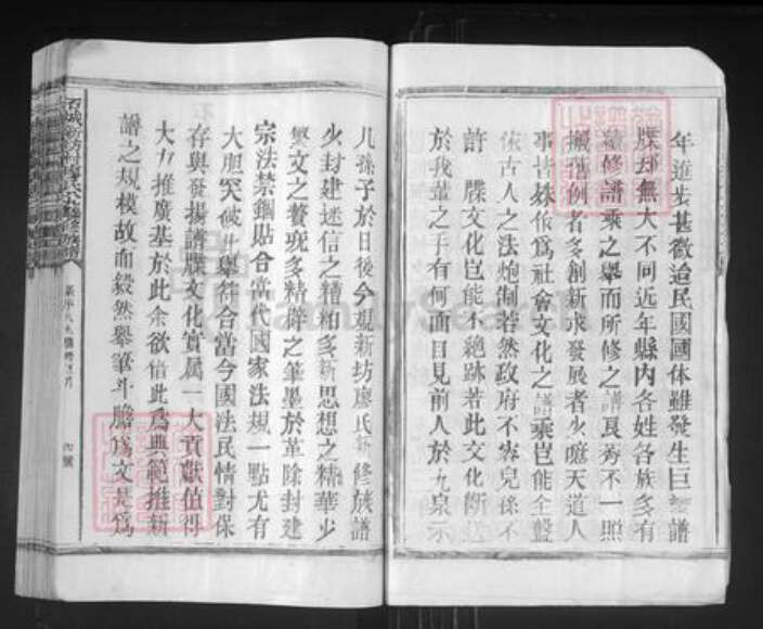 江西省赣州市石城县屏山镇廖氏族谱-石城新坊村廖氏八九联修族谱.pdf电子版预览图5