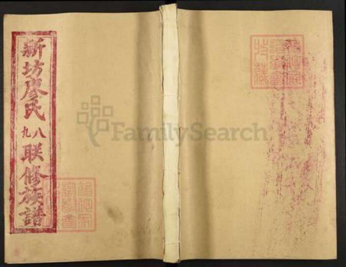 江西省赣州市石城县屏山镇廖氏族谱-石城新坊村廖氏八九联修族谱.pdf电子版缩略图