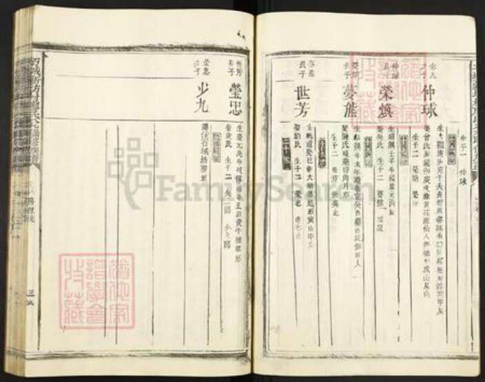 江西省赣州市石城县屏山镇廖氏族谱-石城新坊村廖氏八九联修族谱.pdf电子版预览图3