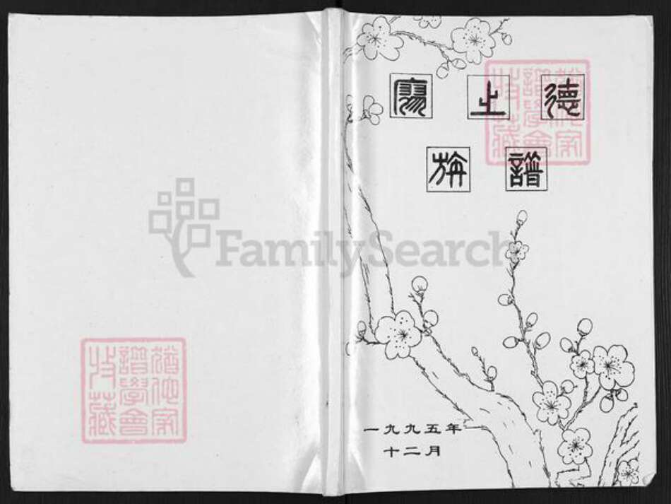 重庆市云阳县南溪镇廖氏族谱-廖之德族谱.pdf电子版缩略图