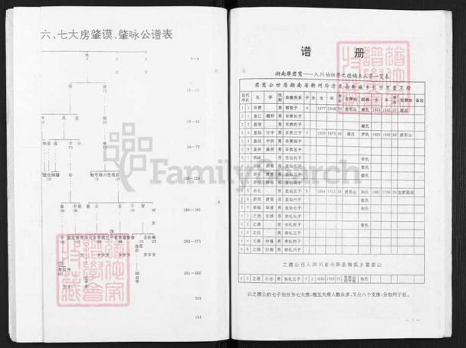 重庆市云阳县南溪镇廖氏族谱-廖之德族谱.pdf电子版预览图4