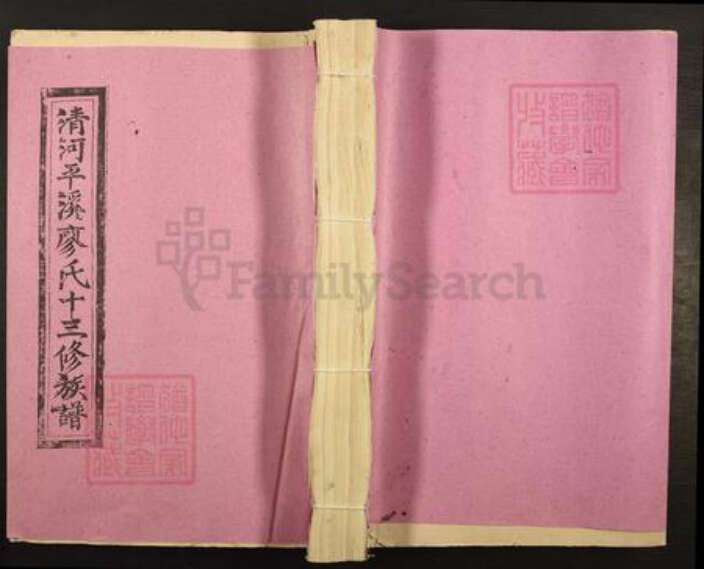 江西省南昌市湾里区太平镇廖氏族谱-清河平溪廖氏十三修族谱.pdf电子版缩略图