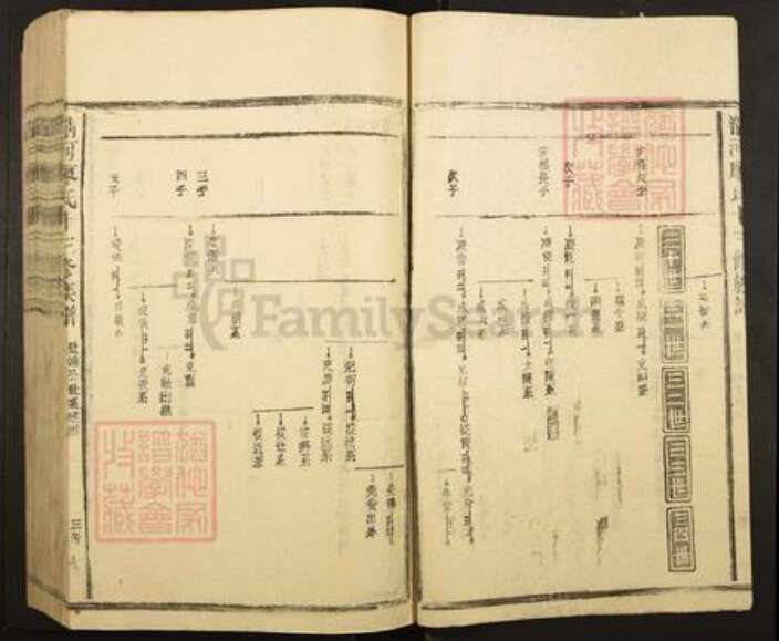 江西省南昌市湾里区太平镇廖氏族谱-清河平溪廖氏十三修族谱.pdf电子版预览图3