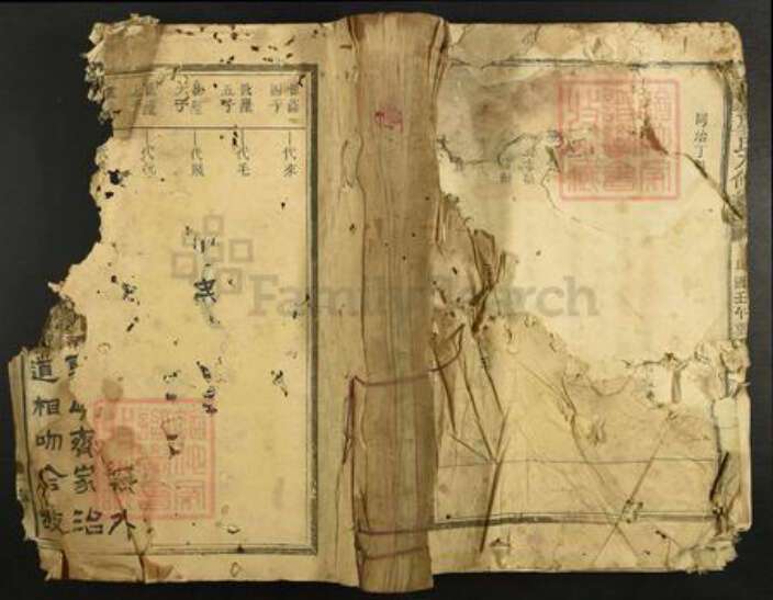 江西省抚州市广昌县廖氏族谱-大原廖氏九修家谱.pdf电子版缩略图