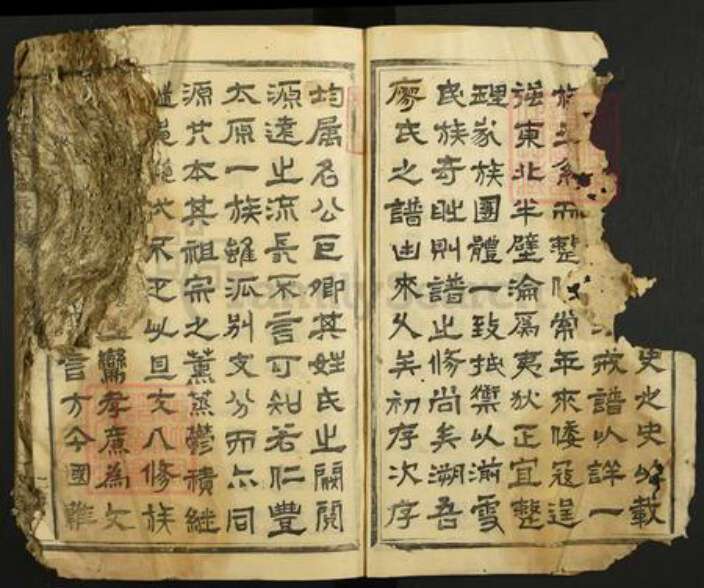 江西省抚州市广昌县廖氏族谱-大原廖氏九修家谱.pdf电子版预览图2