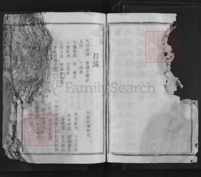 江西省抚州市广昌县廖氏族谱-太原廖氏九修家谱.pdf电子版预览图5