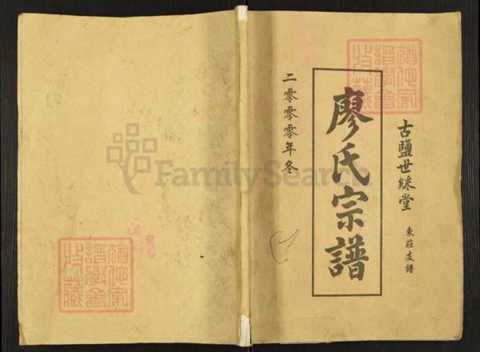 江苏省盐城市建湖县廖氏世彩堂族谱-廖氏宗谱.东庄支谱.pdf电子版缩略图