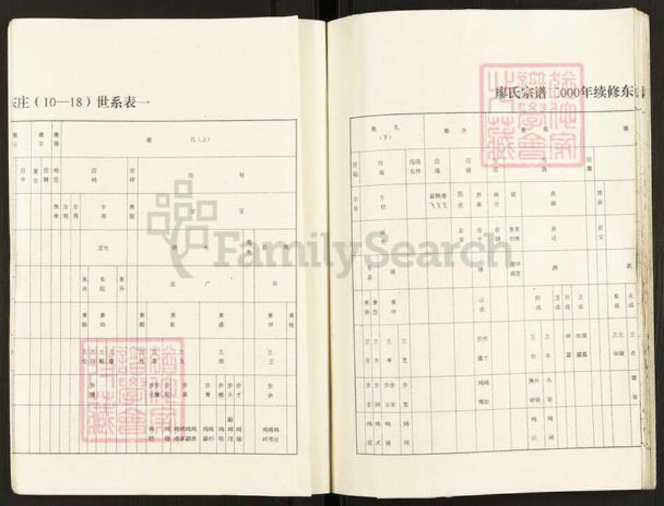 江苏省盐城市建湖县廖氏世彩堂族谱-廖氏宗谱.东庄支谱.pdf电子版预览图4