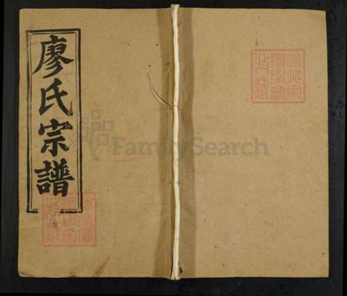 湖北省鄂州市华容区廖氏世䌽堂族谱-廖氏宗谱.pdf电子版缩略图