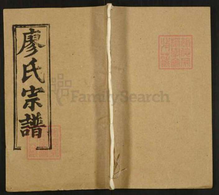 湖北省鄂州市华容区廖氏世䌽堂族谱-廖氏宗谱.pdf电子版缩略图