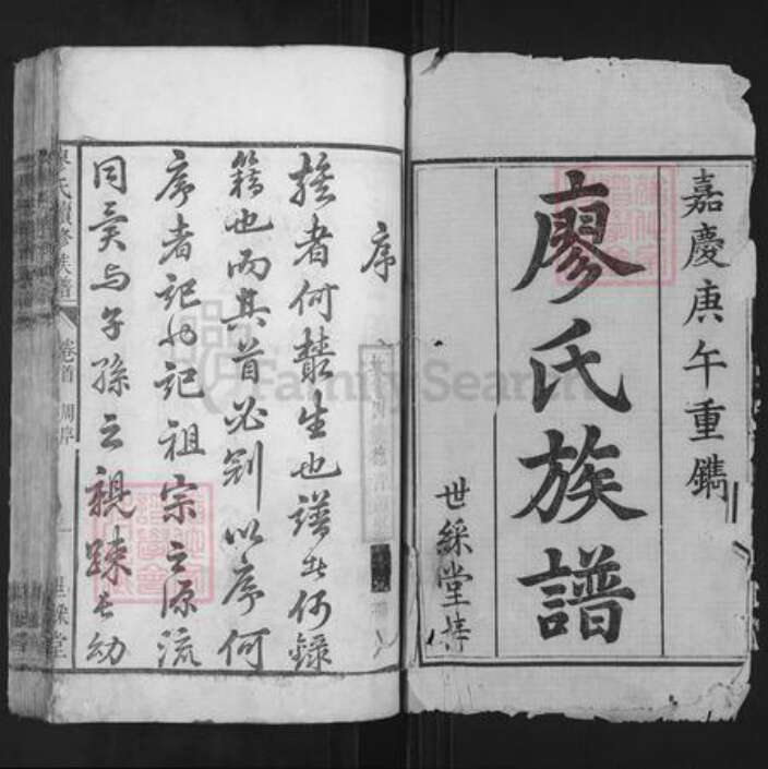 湖南省长沙市廖氏世彩堂族谱-廖氏续修族谱.pdf电子版预览图1