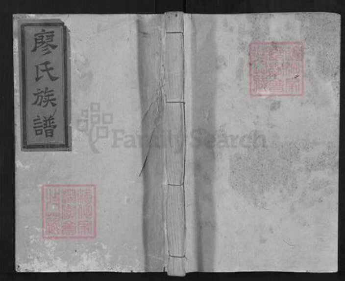 江西省宜春市奉新县江西省赣州市安远县浮槎乡江西省九江市修水县江西省宜春市铜鼓县廖氏威武堂族谱-廖氏族谱.pdf电子版缩略图