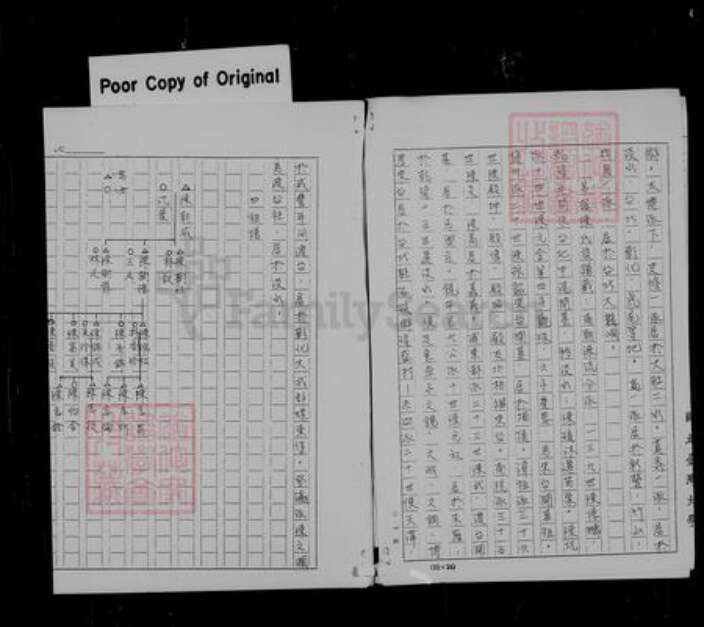 四川省宜宾市高县林氏族谱-[林氏家谱].pdf电子版预览图4