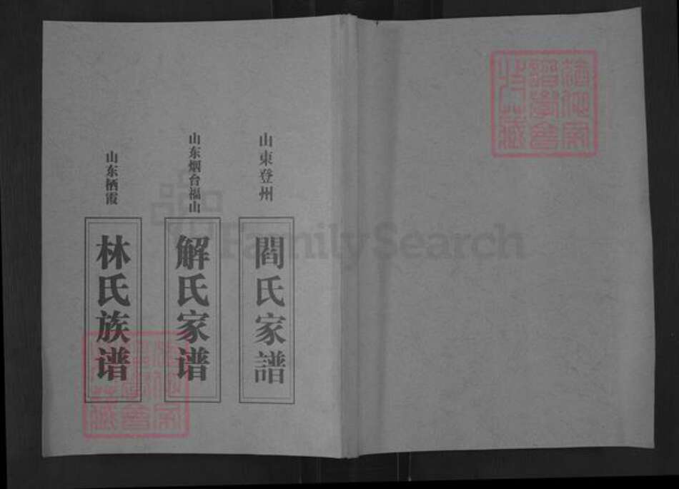 山东省烟台市栖霞市松山街道林氏族谱-林氏族谱.pdf电子版缩略图