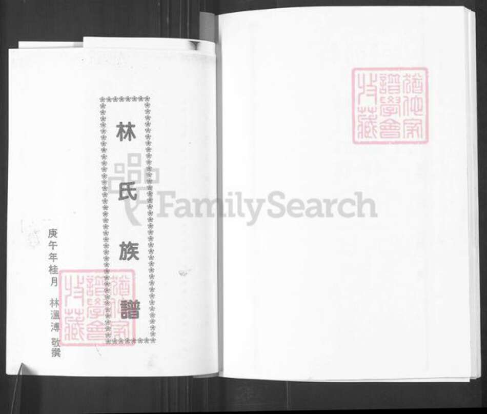 山东省烟台市栖霞市松山街道林氏族谱-林氏族谱.pdf电子版预览图1