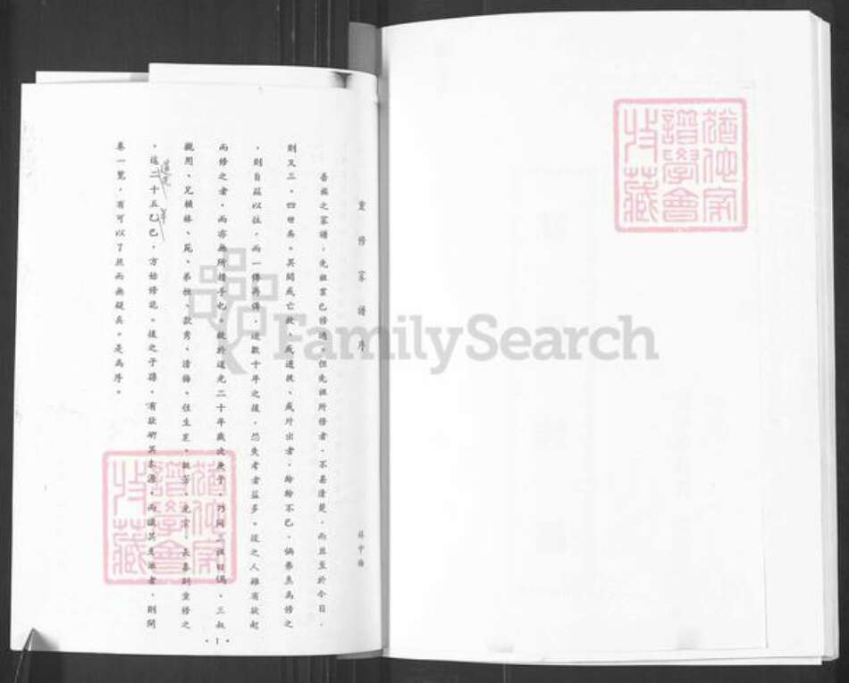 山东省烟台市栖霞市松山街道林氏族谱-林氏族谱.pdf电子版预览图2