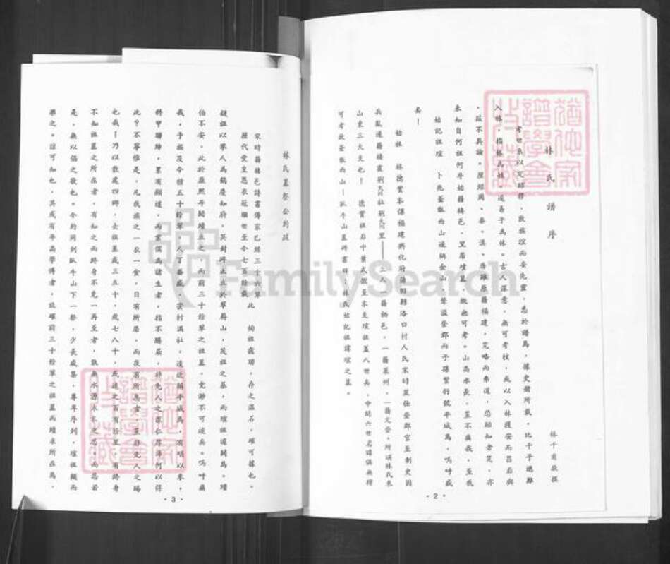 山东省烟台市栖霞市松山街道林氏族谱-林氏族谱.pdf电子版预览图3