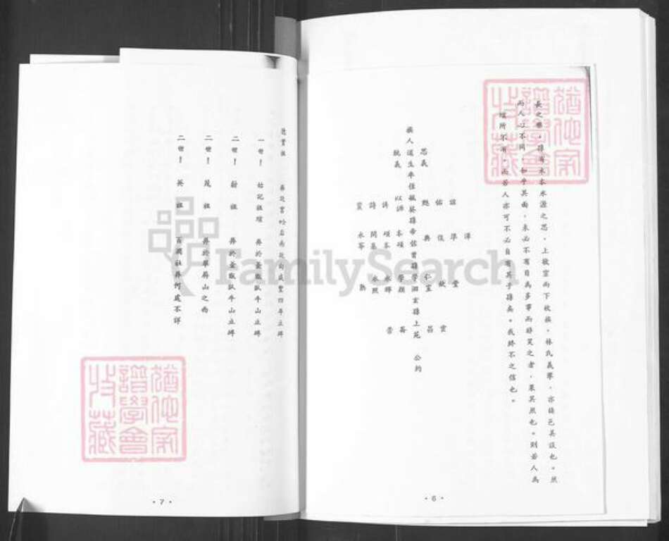 山东省烟台市栖霞市松山街道林氏族谱-林氏族谱.pdf电子版预览图5