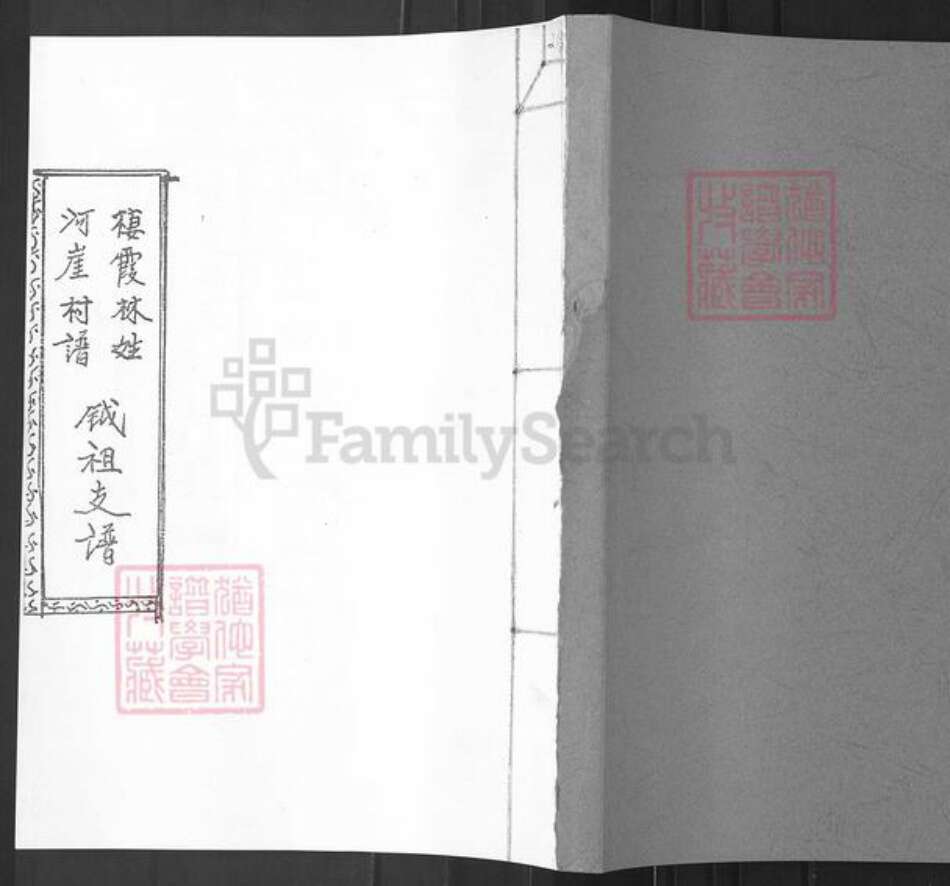 山东省烟台市栖霞市桃村镇林氏族谱-栖霞林姓河崖村谱.钺祖支谱.pdf电子版缩略图