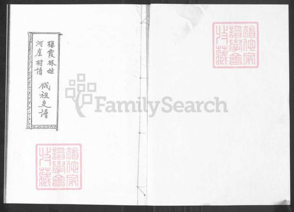 山东省烟台市栖霞市桃村镇林氏族谱-栖霞林姓河崖村谱.钺祖支谱.pdf电子版预览图1