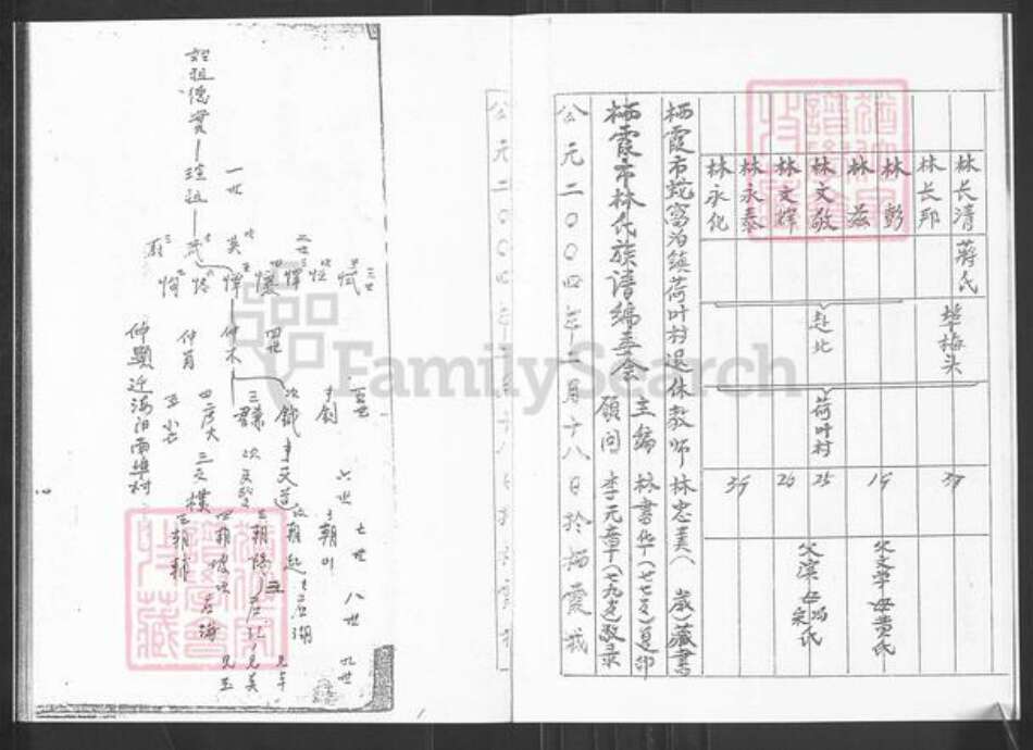 山东省烟台市栖霞市桃村镇林氏族谱-栖霞林姓河崖村谱.钺祖支谱.pdf电子版预览图3