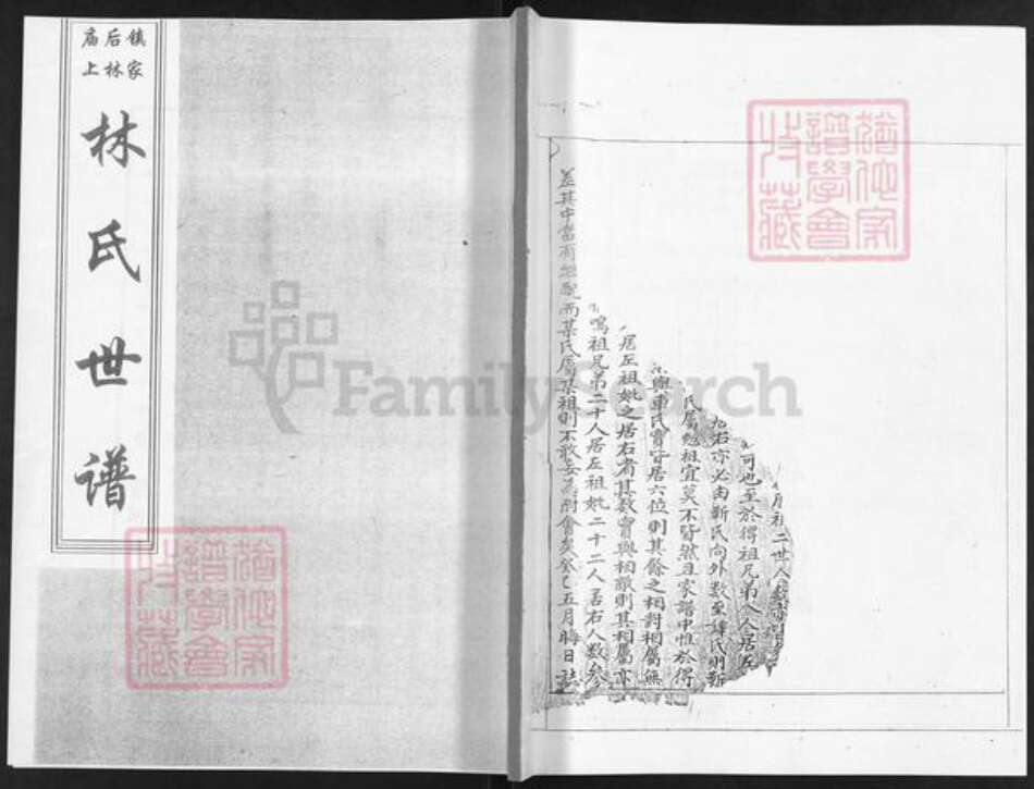 山东省烟台市栖霞市林氏族谱-林氏世谱.pdf电子版缩略图