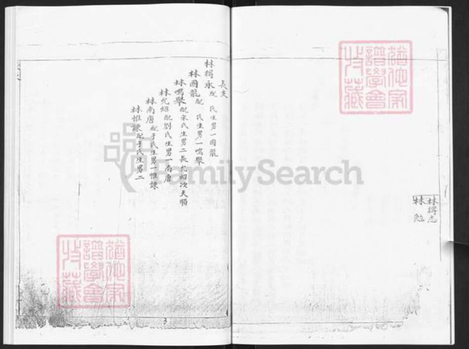 山东省烟台市栖霞市林氏族谱-林氏世谱.pdf电子版预览图5