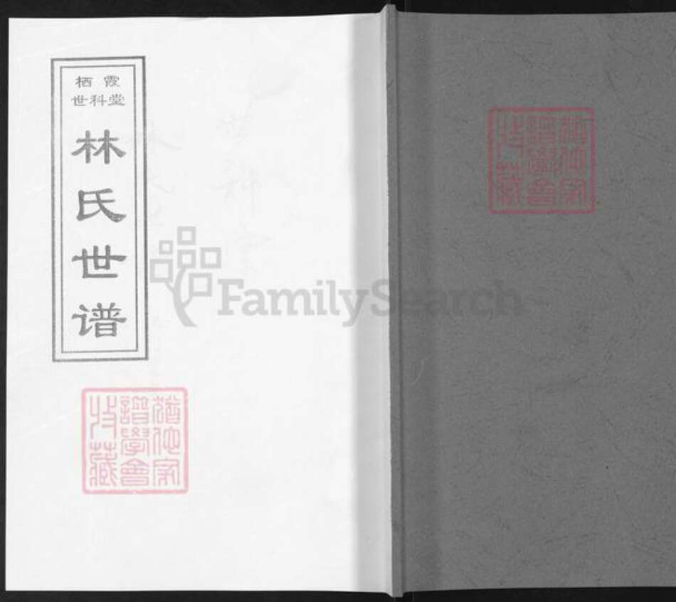 山东省烟台市栖霞市林氏世科堂族谱-栖霞世科堂林氏世谱.pdf电子版缩略图