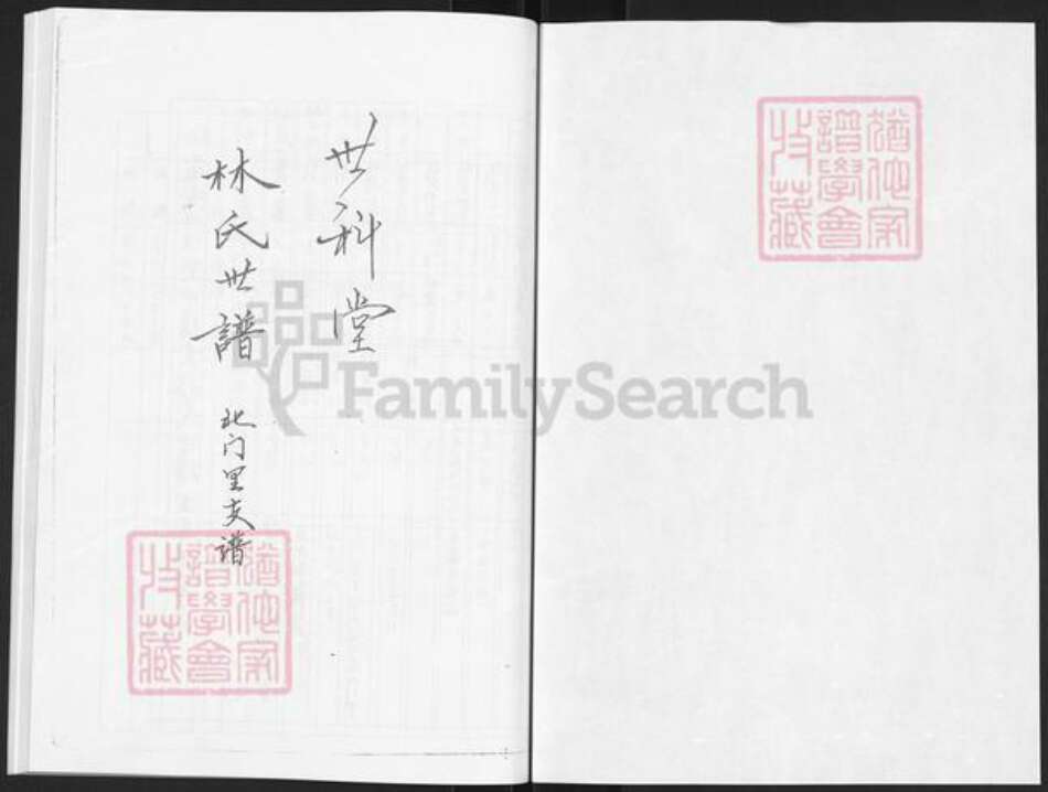 山东省烟台市栖霞市林氏世科堂族谱-栖霞世科堂林氏世谱.pdf电子版预览图1