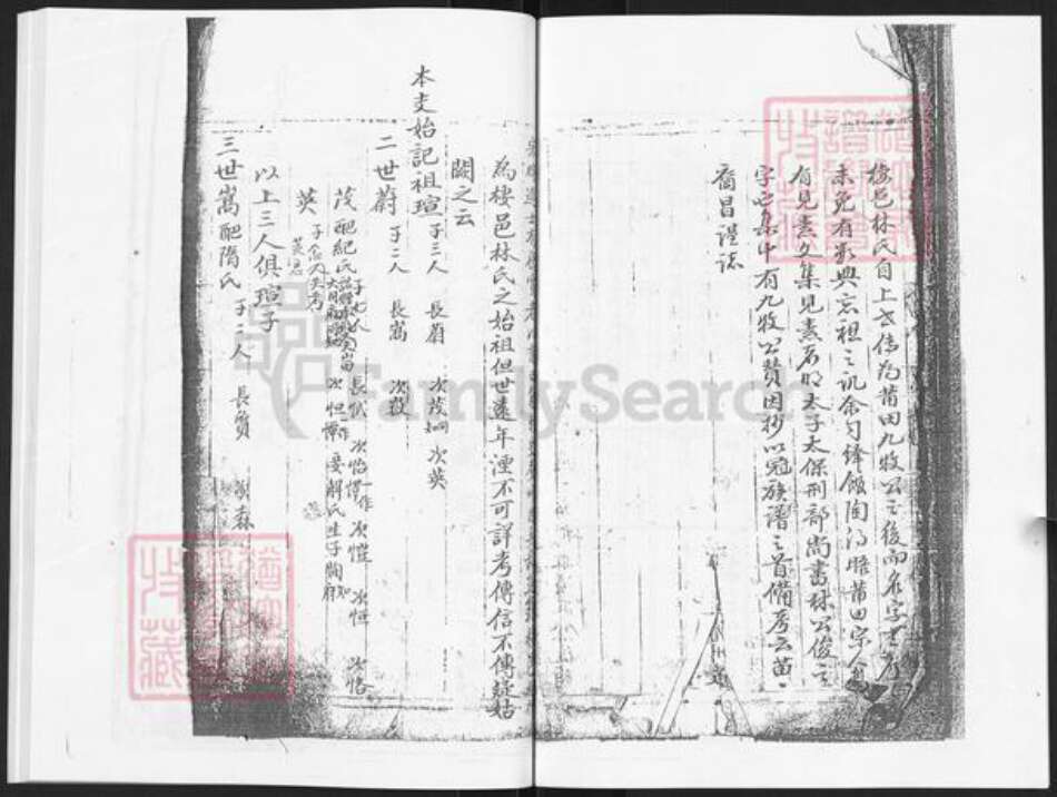 山东省烟台市栖霞市林氏世科堂族谱-栖霞世科堂林氏世谱.pdf电子版预览图4