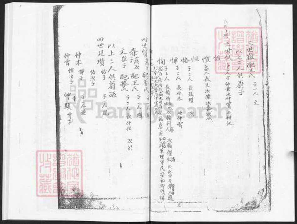 山东省烟台市栖霞市林氏世科堂族谱-栖霞世科堂林氏世谱.pdf电子版预览图5