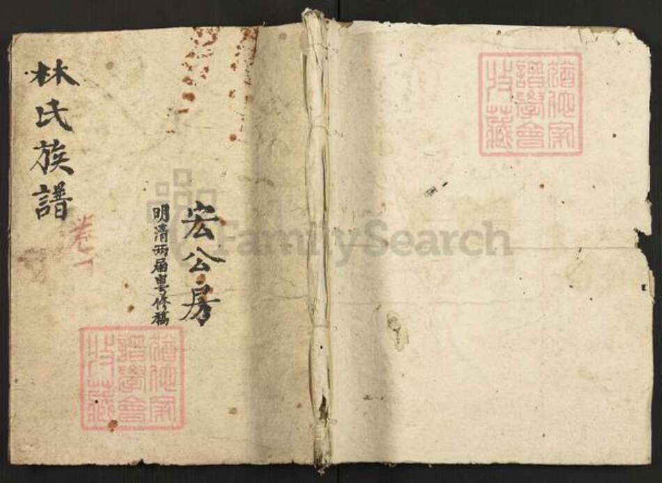 广东省潮州市林氏族谱-林氏族谱明清两届粤修稿.pdf电子版缩略图