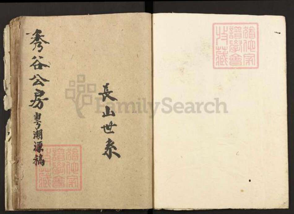 广东省潮州市林氏族谱-林氏族谱明清两届粤修稿.pdf电子版预览图1