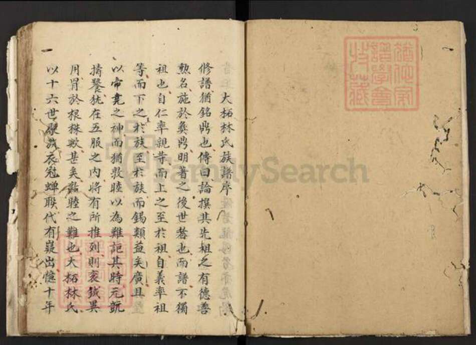 广东省潮州市林氏族谱-林氏族谱明清两届粤修稿.pdf电子版预览图2