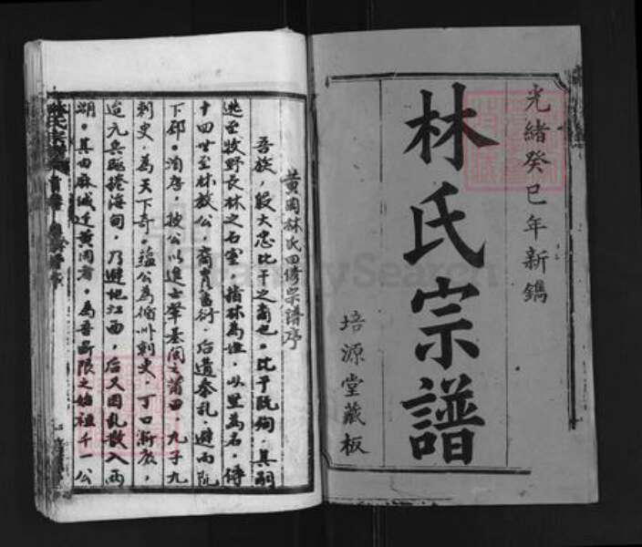 湖北省黄冈市团风县杜皮乡林氏培源堂族谱-林氏宗谱.pdf电子版预览图1