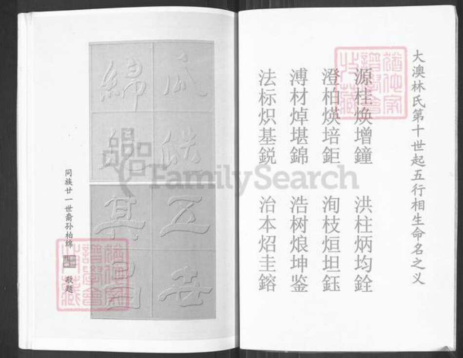 福建省福州市福清市新厝镇林氏如在堂族谱-西河忠义林大澳八老房族谱.珖公支系.pdf电子版预览图3