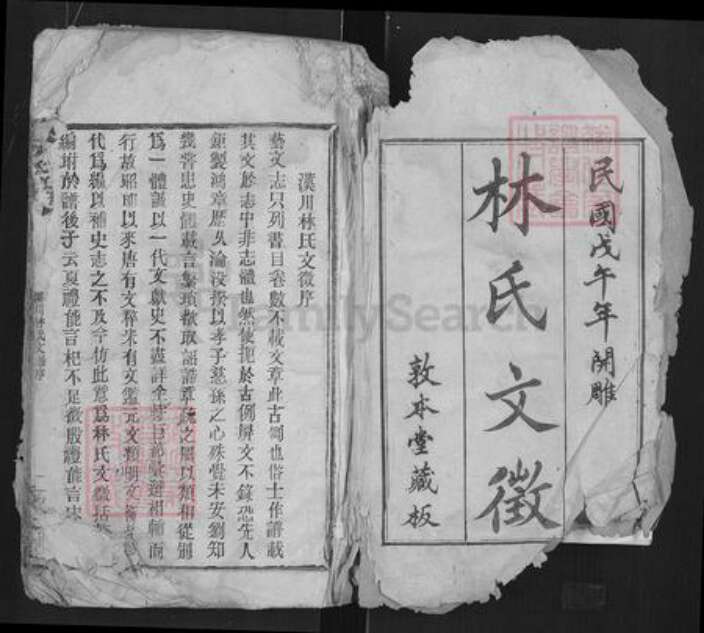 湖北省孝感市汉川市林氏敦本堂族谱-林氏宗谱.pdf电子版预览图1