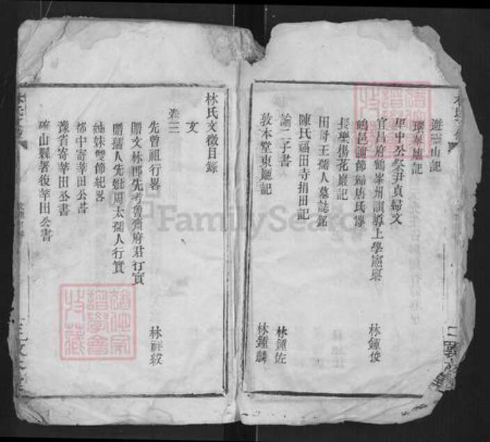 湖北省孝感市汉川市林氏敦本堂族谱-林氏宗谱.pdf电子版预览图4