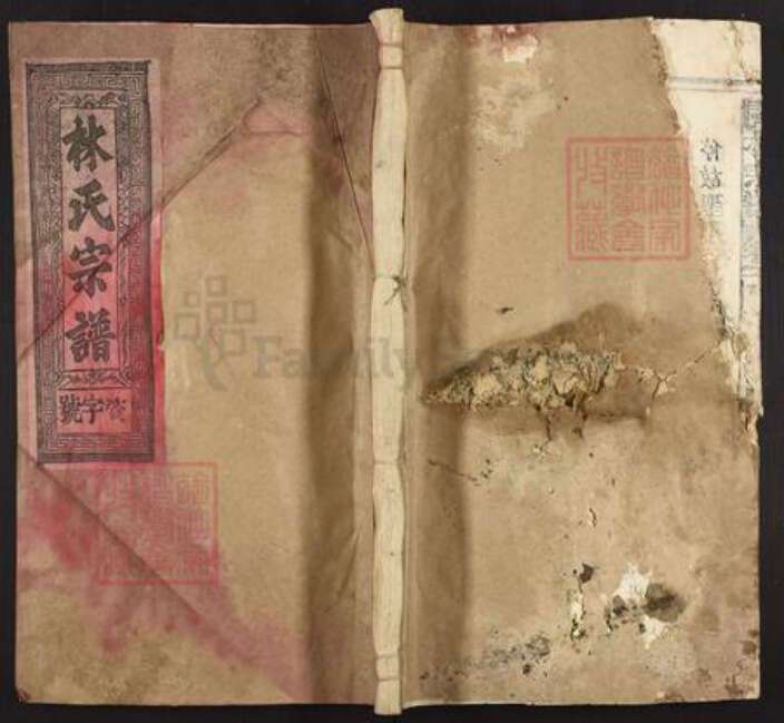 福建省福州市林氏九牧堂族谱-林氏宗谱.pdf电子版缩略图